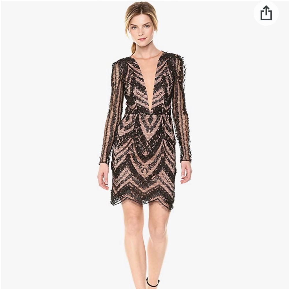 Jamie Long Sleeve Plunging Floral Lace Mini Dress